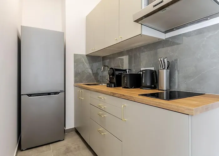 Appartement Le Fournil Du 75 Charme Et Confort A Straatsburg